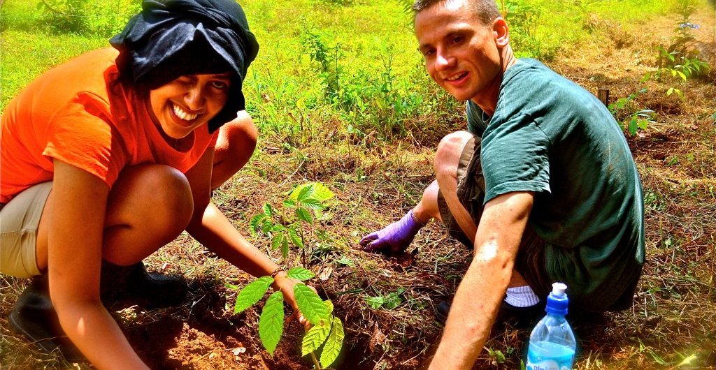 Service–Gardening-1024x682