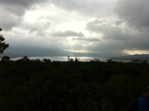 photod-300x224